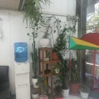 سیدخندان-بر-خواجه-عبدالله-17متر-مغاز-باپاخورخوب