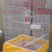 قفس پرنده