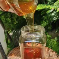 عسل درمانی