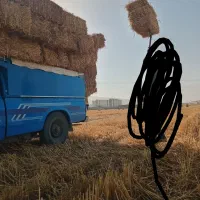 پرس تازه  گندم کلاله و گنبد