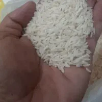 فروش برنج اعلا و درجه یک هاشمی/ مستقیم از کشاورز