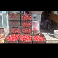 آبگیری وتصفیه گوجه فرنگی سیار