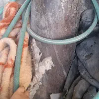 کپسول هوا
