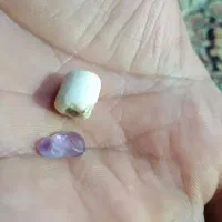 مهره