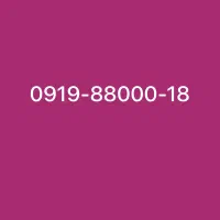 خاصترین شماره ۰۹۱۹