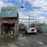 نیروی حرفه ای کارواش