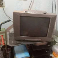 تلویزیون