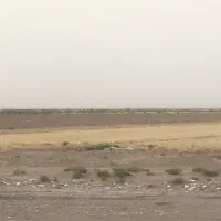 باغ-پسته-2-هکتار-4-ساعت-آب-از-2-موتور-جاده-جعفریه