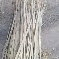 برگ نخل یا پیش نخل