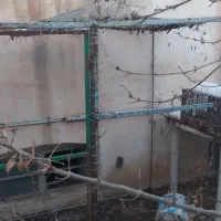 قفس آهنی|لوازم جانبی حیوانات|نیشابور, خیام|دیوار