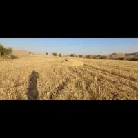 فروش زمین کشاورزی