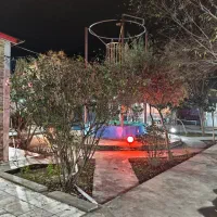 نیروی اقا