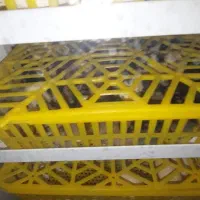 دستگاه جوجه کشی