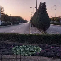 زمین-وسوله-فازغذایی-شهرک-صنعتی-کاویان-فریمان