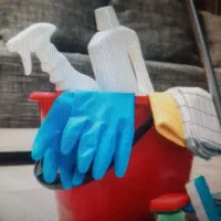 خانم جهت نظافت امورمنزل