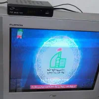 تلویزیون
