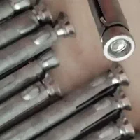 رول بولت