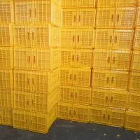 فروش|ظروف نگهدارنده، پلاستیکی، یک‌بارمصرف|شیراز, گل سرخ|دیوار