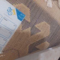 فرش|فرش|مشهد, دانشجو|دیوار