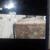 قفس|لوازم جانبی حیوانات|چابهار, |دیوار