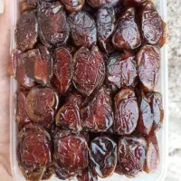 فروش انواع خرما و رطب تازه