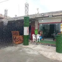 چمن مصنوعی  فنس چمنی  گرینوال