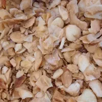 خلال سیر، موسیرتازه و پلاک، پودر سیر، موسیر، پیاز