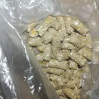 خوراک دام
