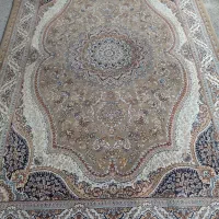 یک جفت 6متری گردویی