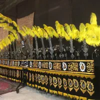 علم ۱۹ تیغ
