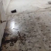 کار نظافت انجام میدم بدون کرایه وبدون هزینه ورودی