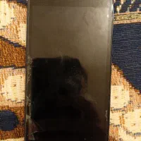 گوشی A2 cor