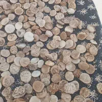 قروت کره گوسفندی خالص