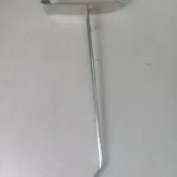 شاخک رگال