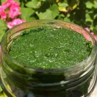 دلار درار نمک سبز