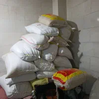 فروش گندم