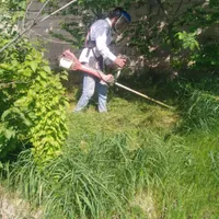 سم پاشی علف زنی شمشادزنی خریدارمیوه شمارویدرخت|خدمات باغبانی و درختکاری|کرج, کمال‌شهر|دیوار