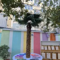 استندوتابلو شن رنگی