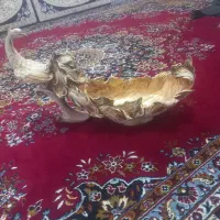 جامیوه ای طاووس زیبا