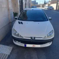 پژو ۲۰۶ SD تمیز