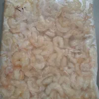 میگو تازه مشتا