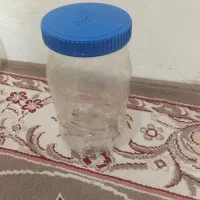 قوطی