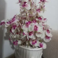 گل و گلدون