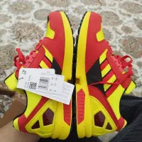 zx 8000 اسپانیا