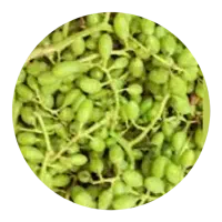 غوره  سرخ پر اب
