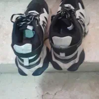بالانسیکا