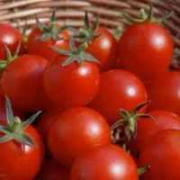 تازه وخوشمزه