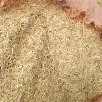 کاه گندم درجه یک