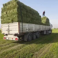 خریداریونجه با تناژ بالا