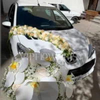 گل طبیعی تولد ماشین عروس پایه ترحیم  تخفیفات ویژه